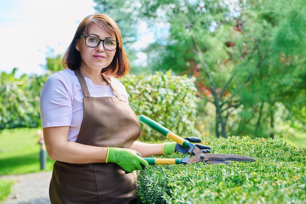 Gartenpflege durchs Jahr: Zeitplan für jede Jahreszeit