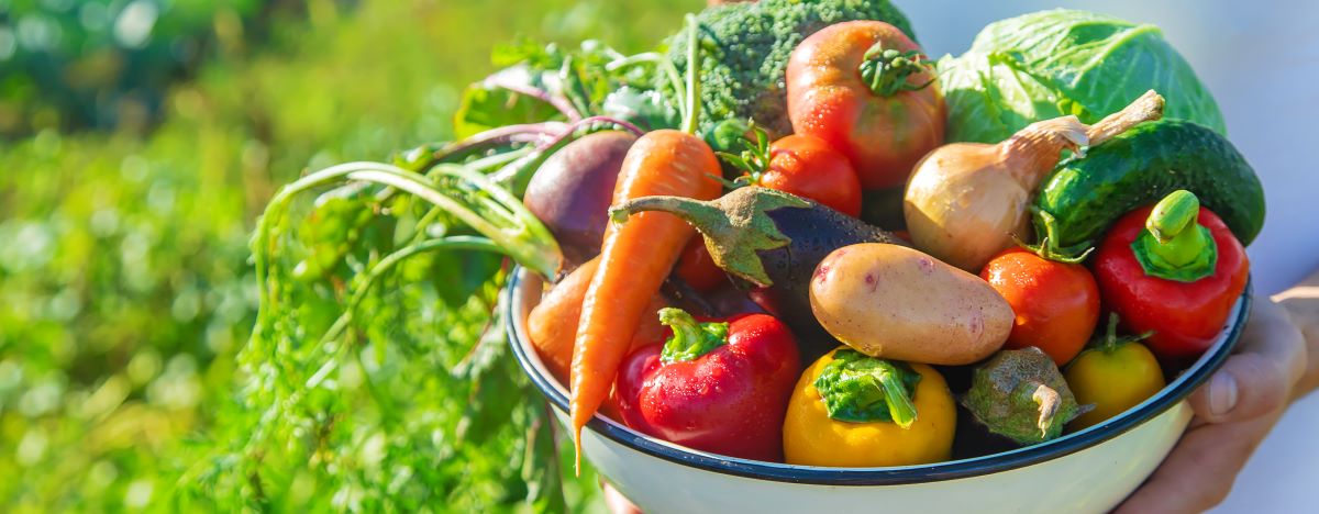 Saisonkalender Obst & Gemüse: Was hat wann Saison?
